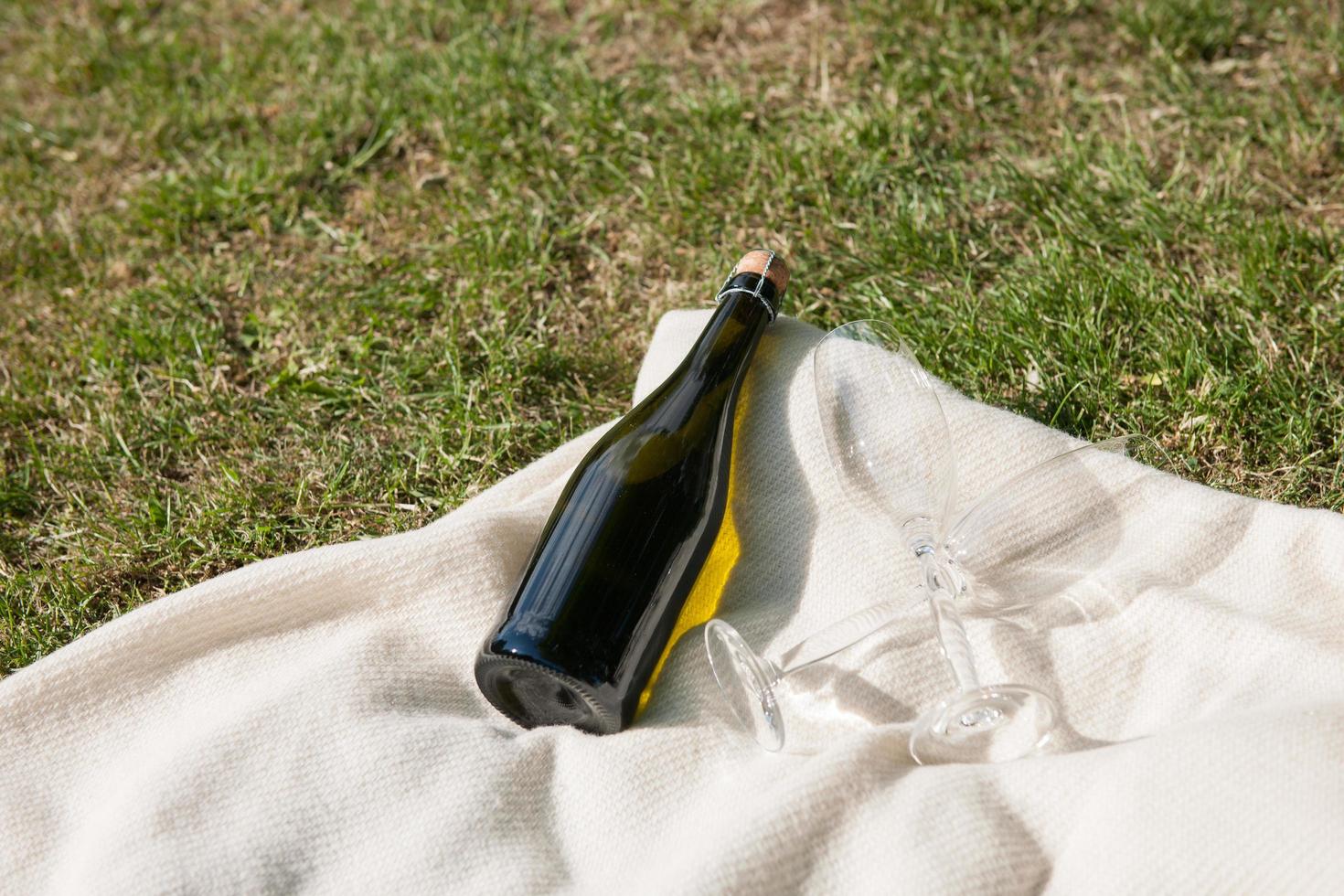 Champagne bottle on blanket photo
