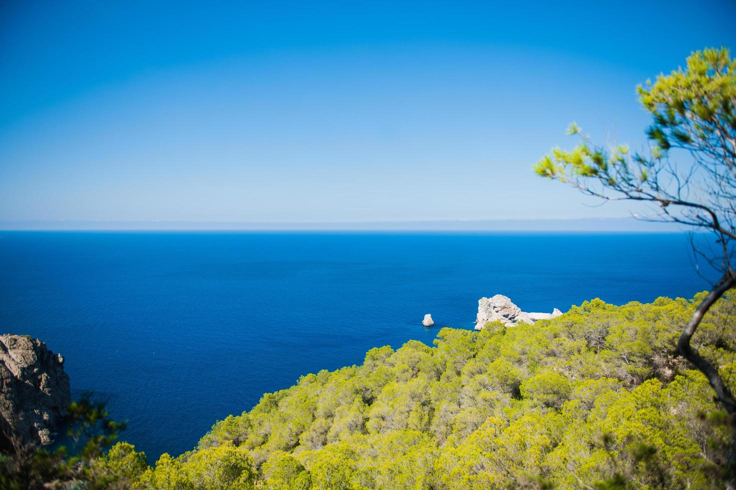 View from a cliff photo