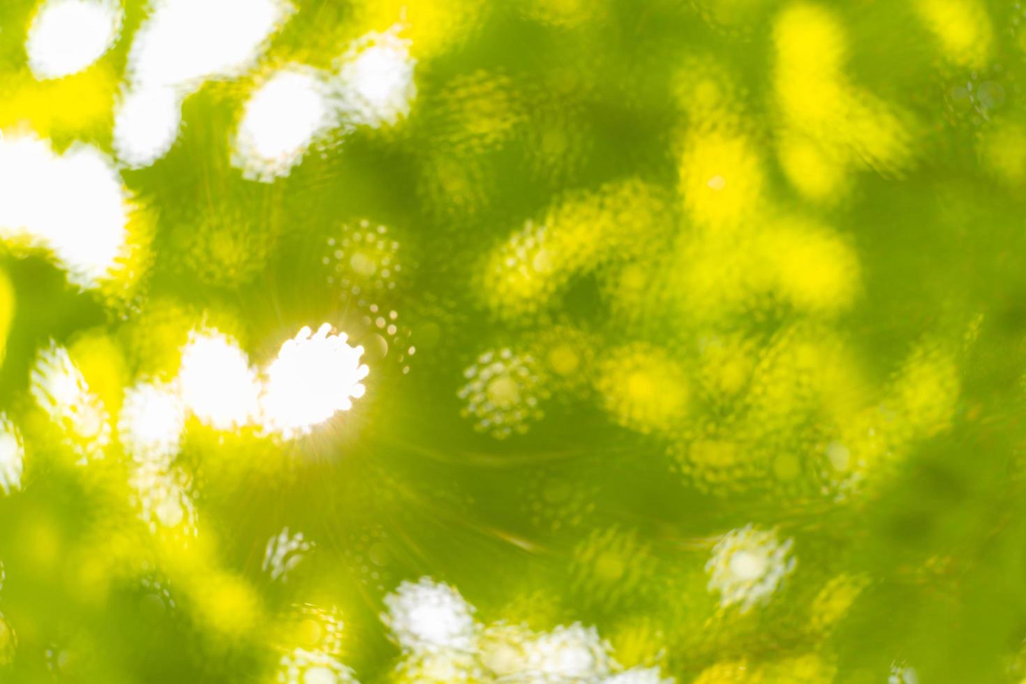 Abstract bokeh defocus blurs photo
