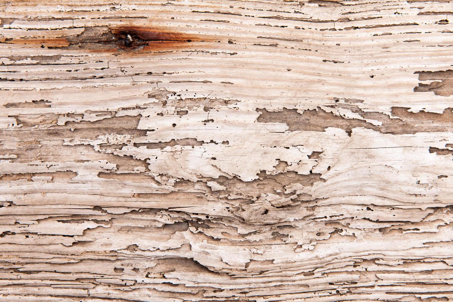 Wooden background photo