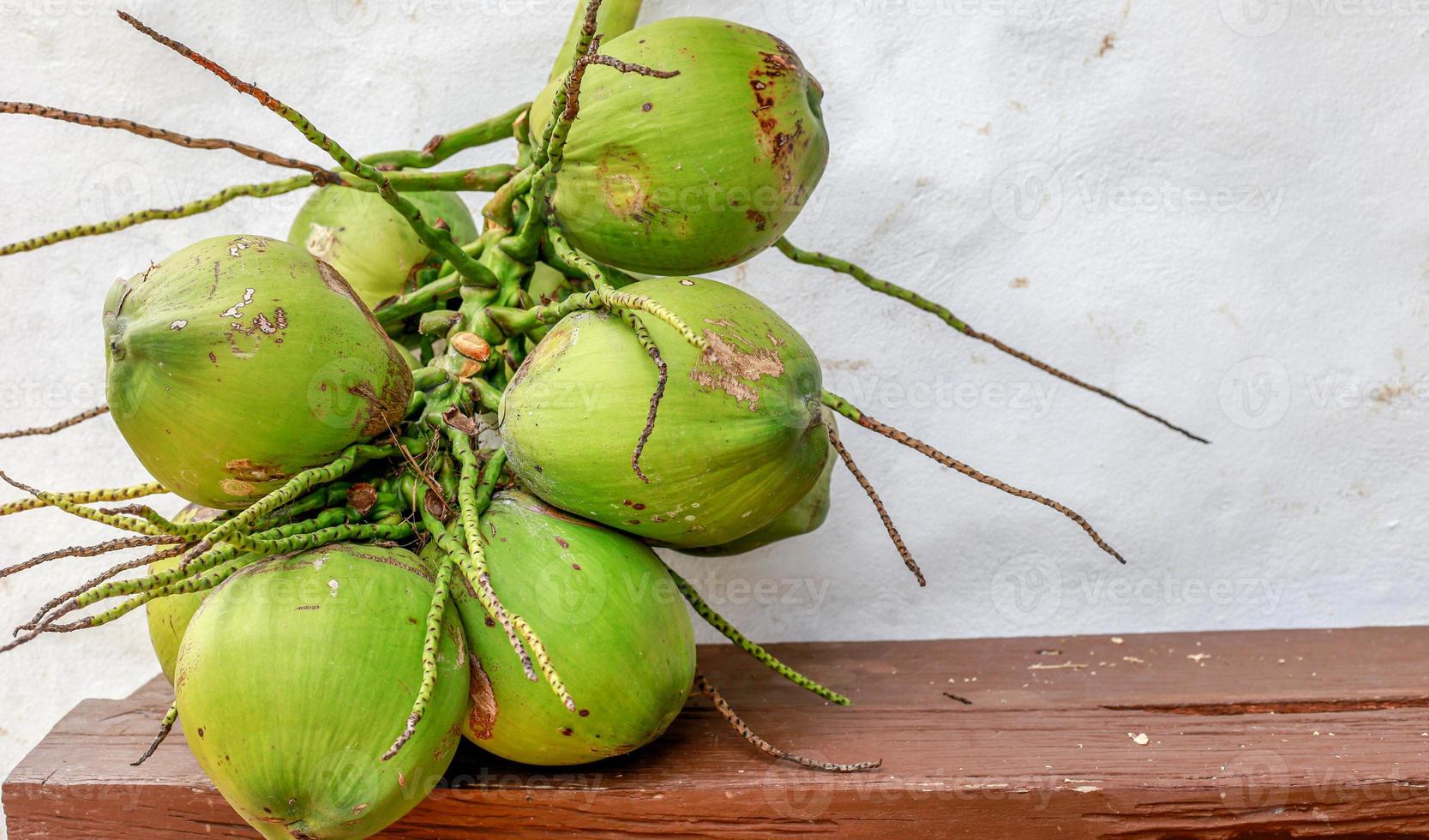 Group of fresh coconut. photo