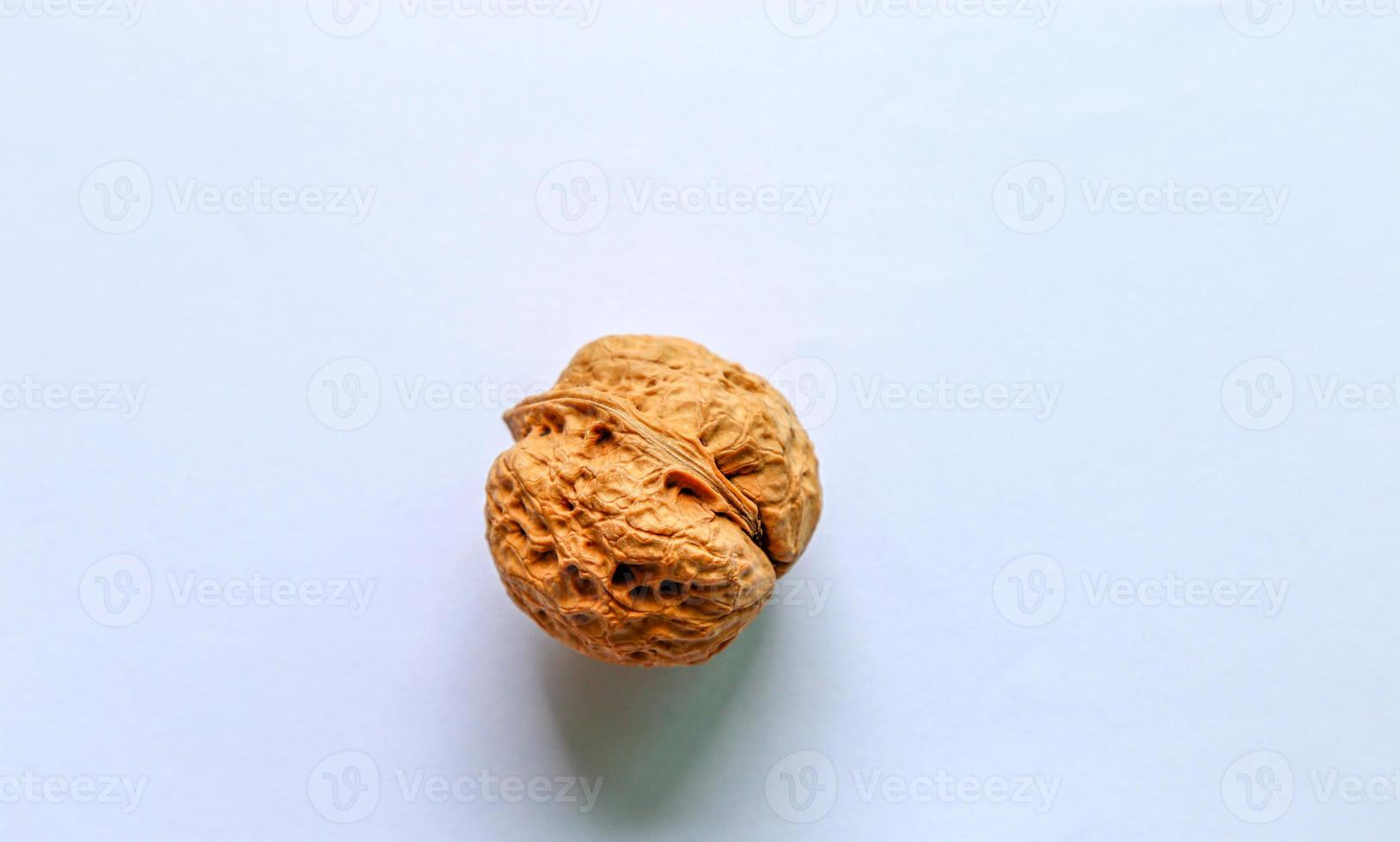 One walnut on white background. photo