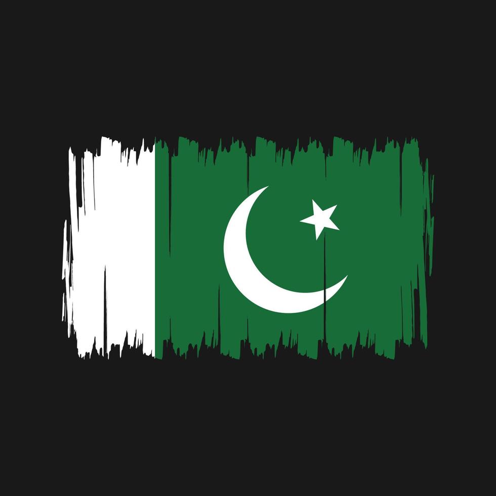 Pakistan Flag Brush. National Flag vector