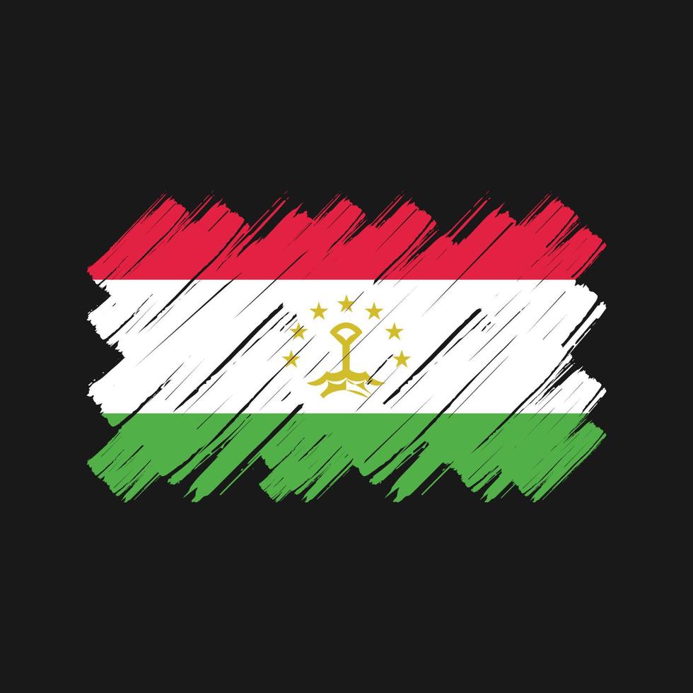 Tajikistan Flag Brush Strokes. National Flag vector