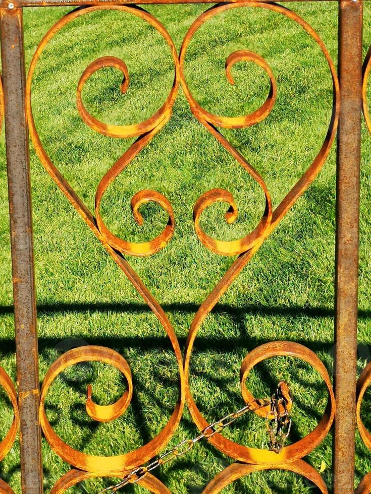 A close up of some grass photo