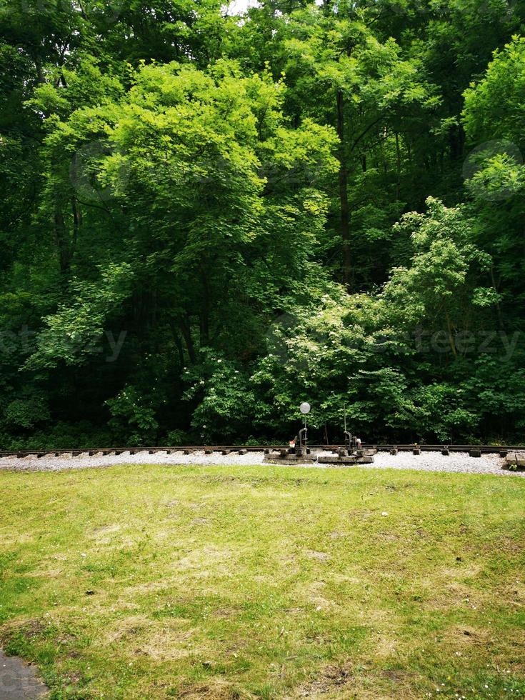 A tree in the middle of a lush green field and the small train station photo