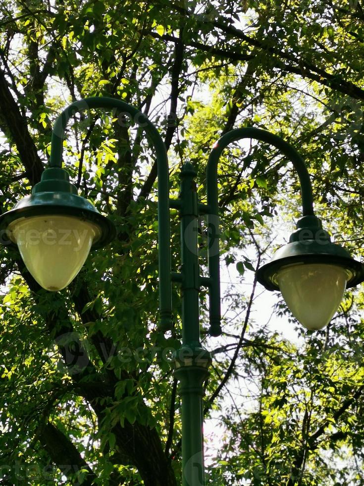 A lamp next to the trees in Miskolc photo