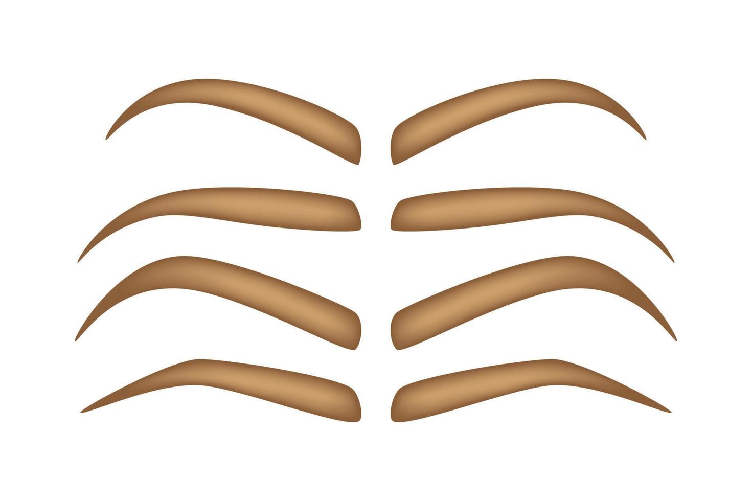 Set of Eyebrow shapes on white background vector