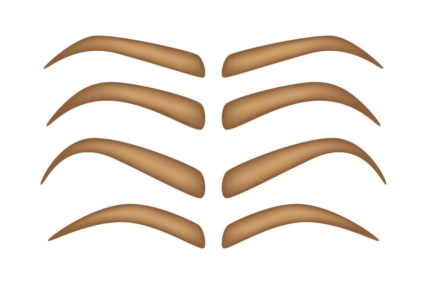 Set of Eyebrow shapes on white background vector