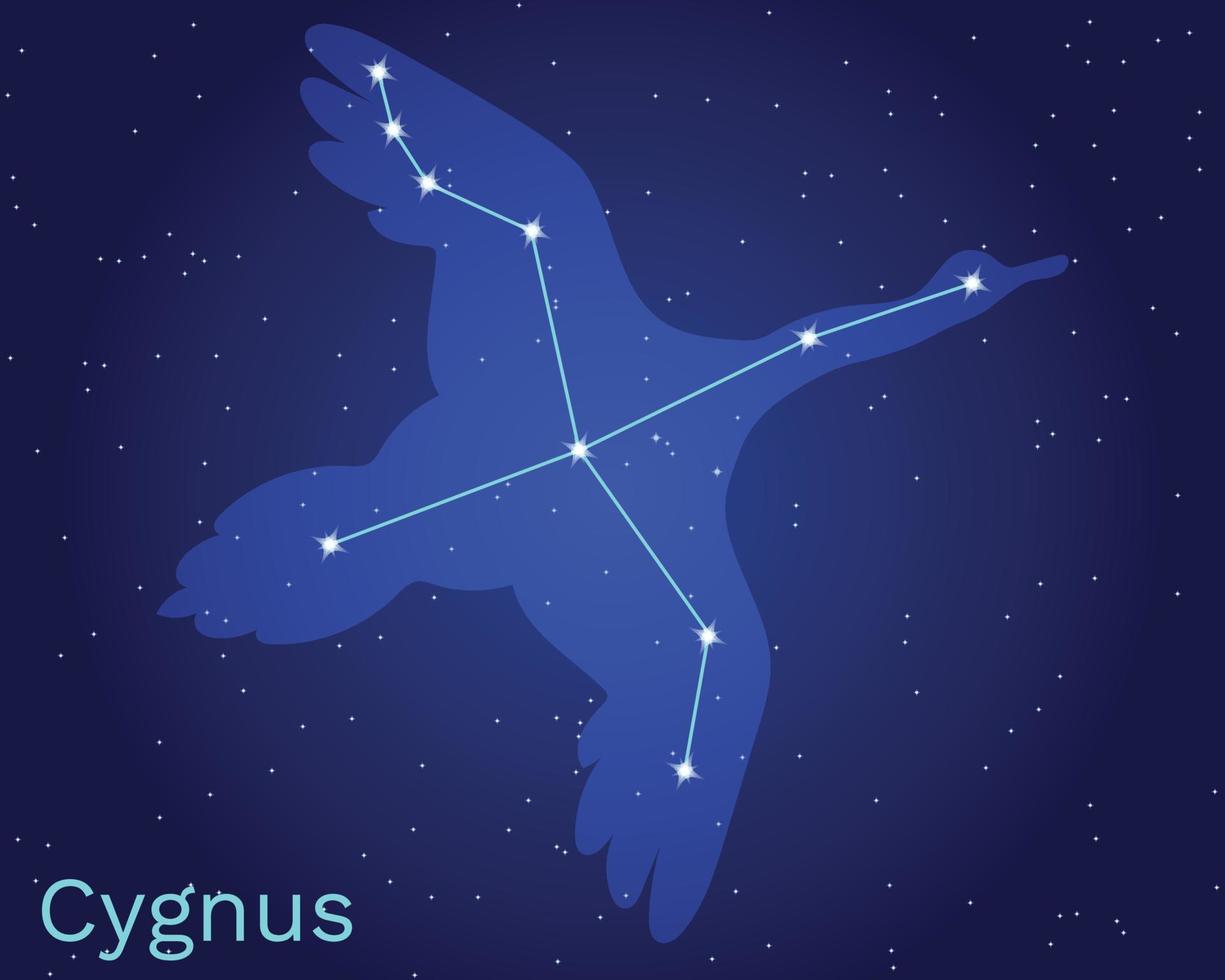 Cygnus swan constellation vector sign with animal silhouette.  The constellation of Cygnus with bright stars. A constellation on a blue background of the cosmic sky.