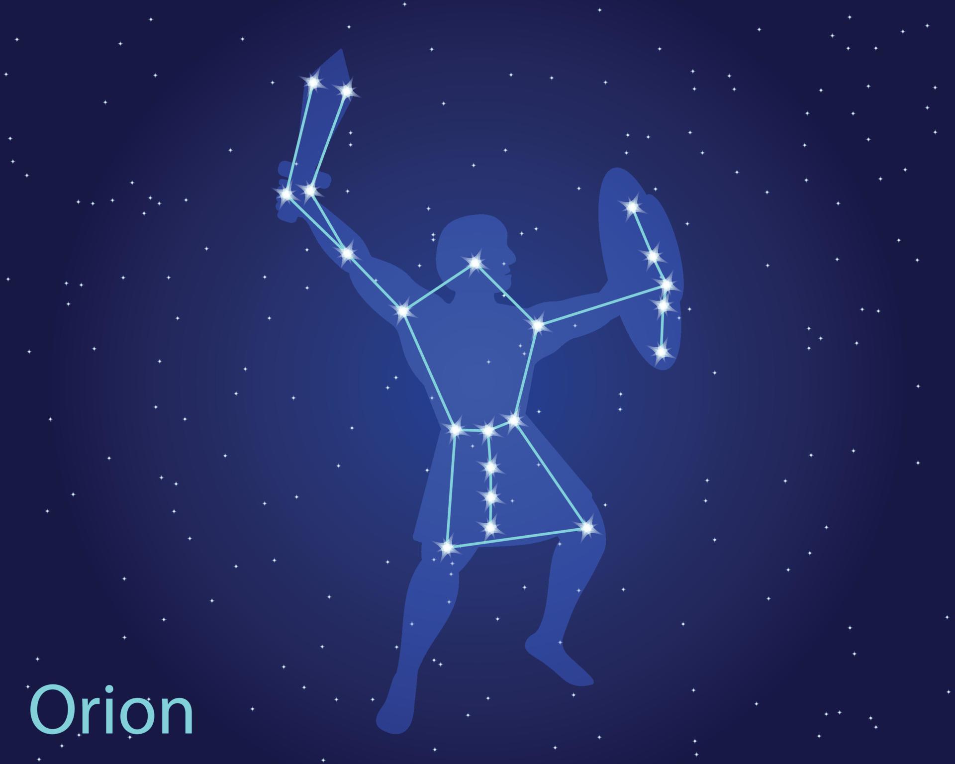 Vector illustration of the constellation Orion. Pegasus constellation