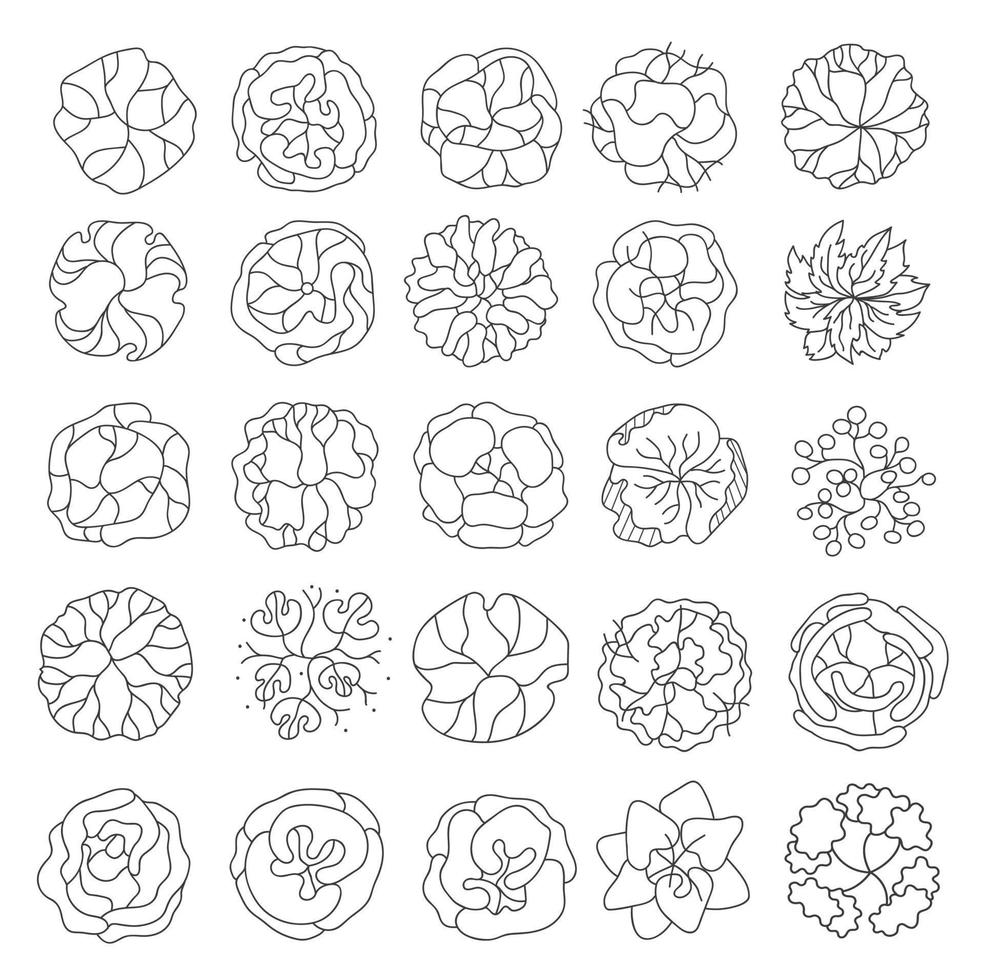 Tree for architectural floor plans. Entourage design. Various trees, bushes, and shrubs, top view for the landscape design plan. Vector illustration.