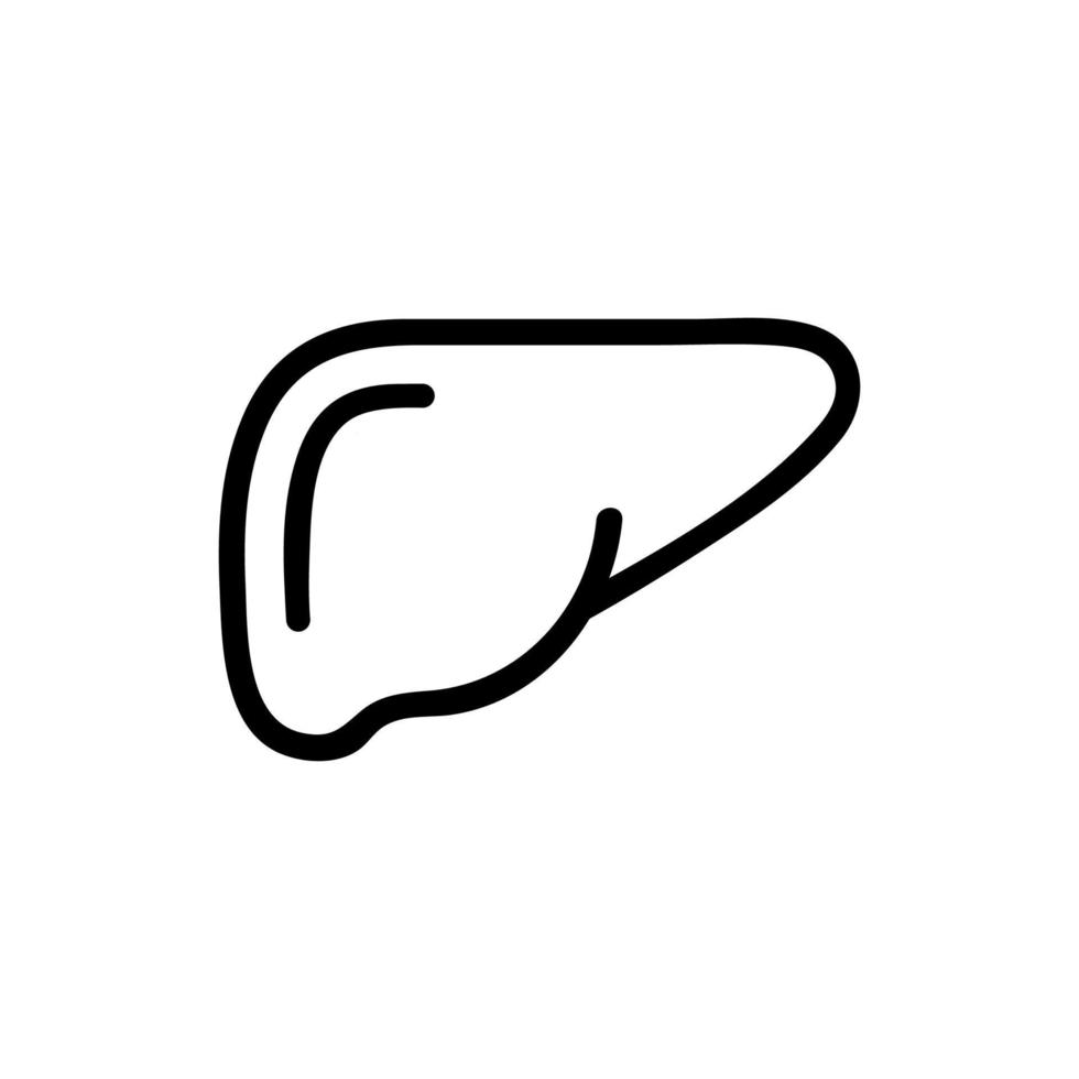 liver icon vector. Isolated contour symbol illustration vector