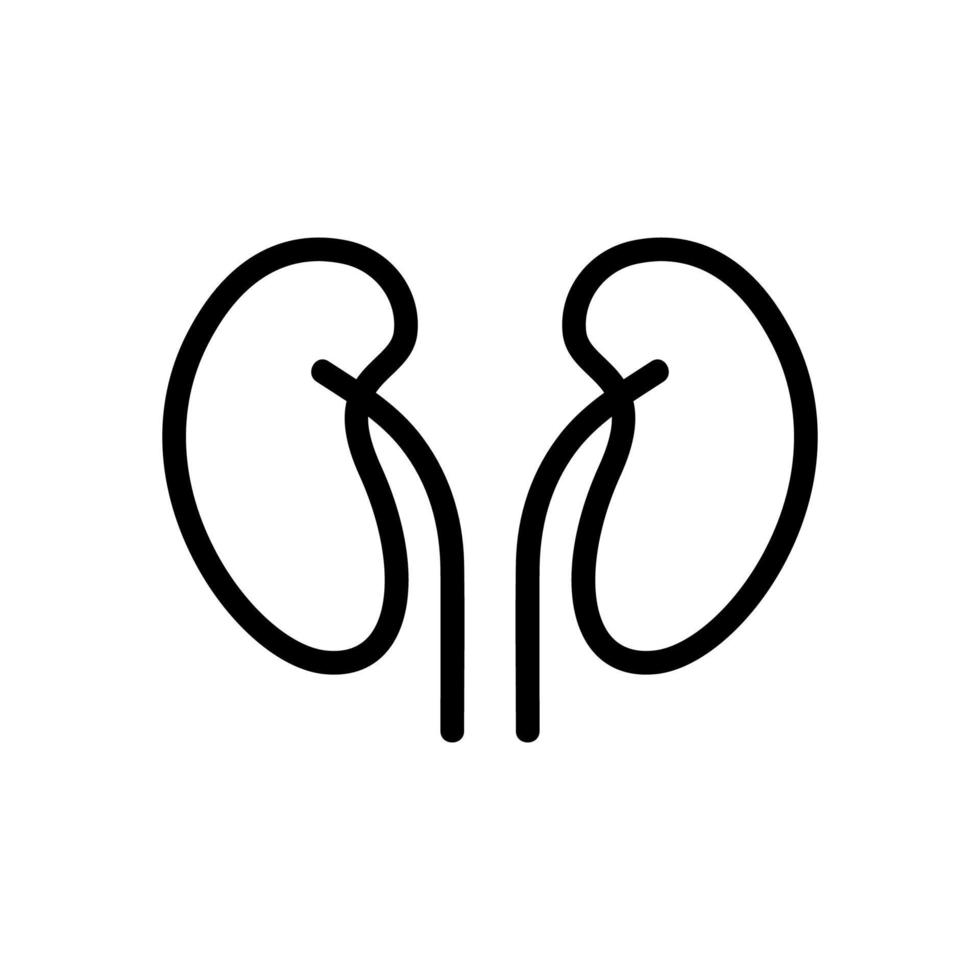 el icono de los ovarios es un vector. ilustración de símbolo de contorno aislado vector