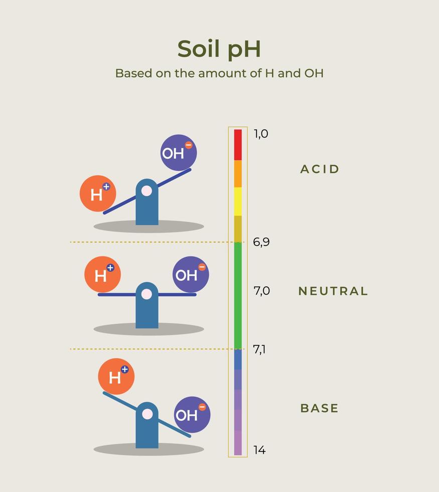 ph del suelo basado en la cantidad de h y oh. equilibrio de ácido y base. nivel alcalino, nivel de acidez para la agricultura vector