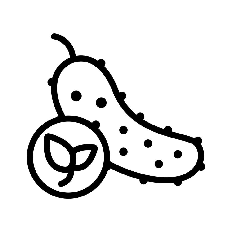 Natural cucumber icon vector. Isolated contour symbol illustration vector