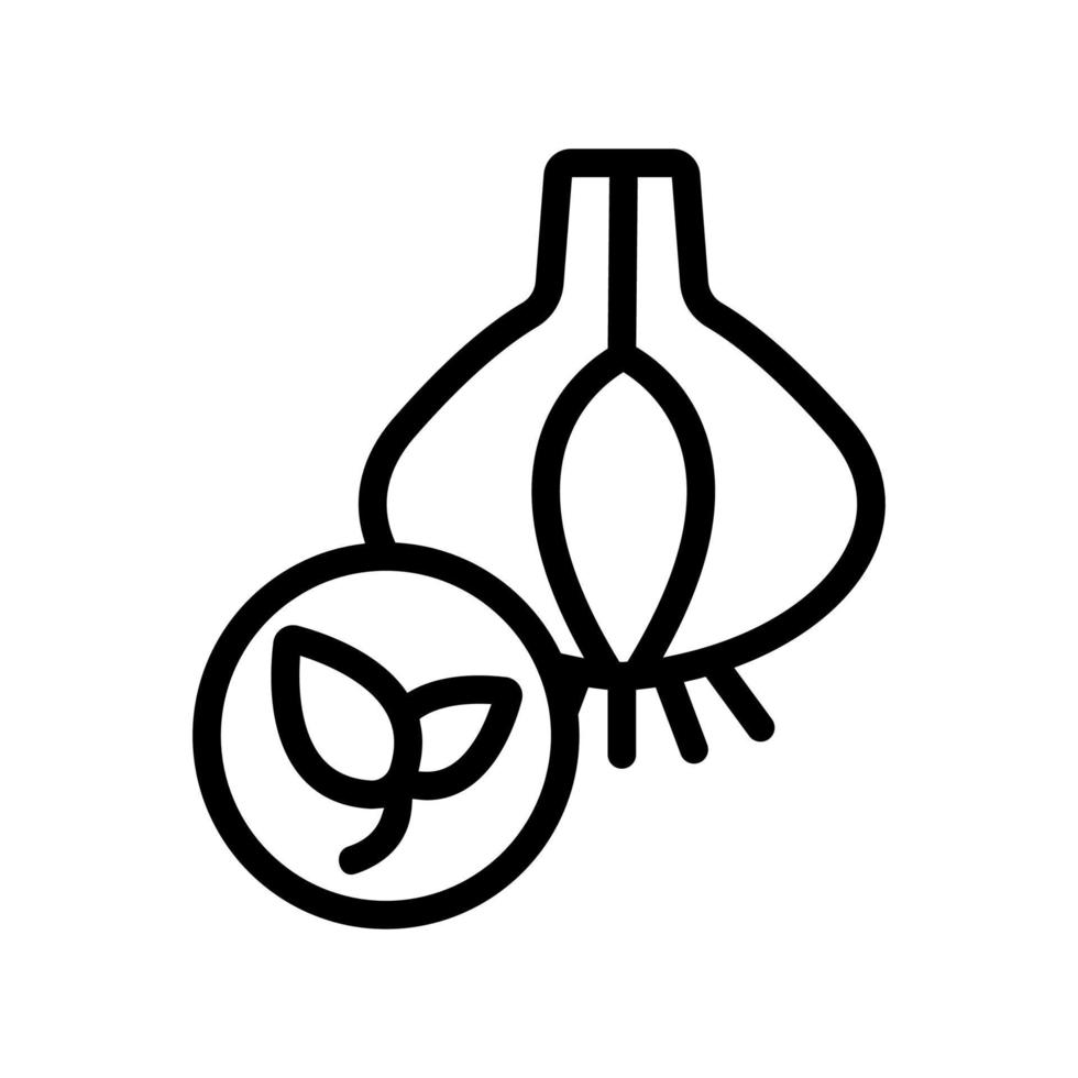 Natural onion icon vector. Isolated contour symbol illustration vector