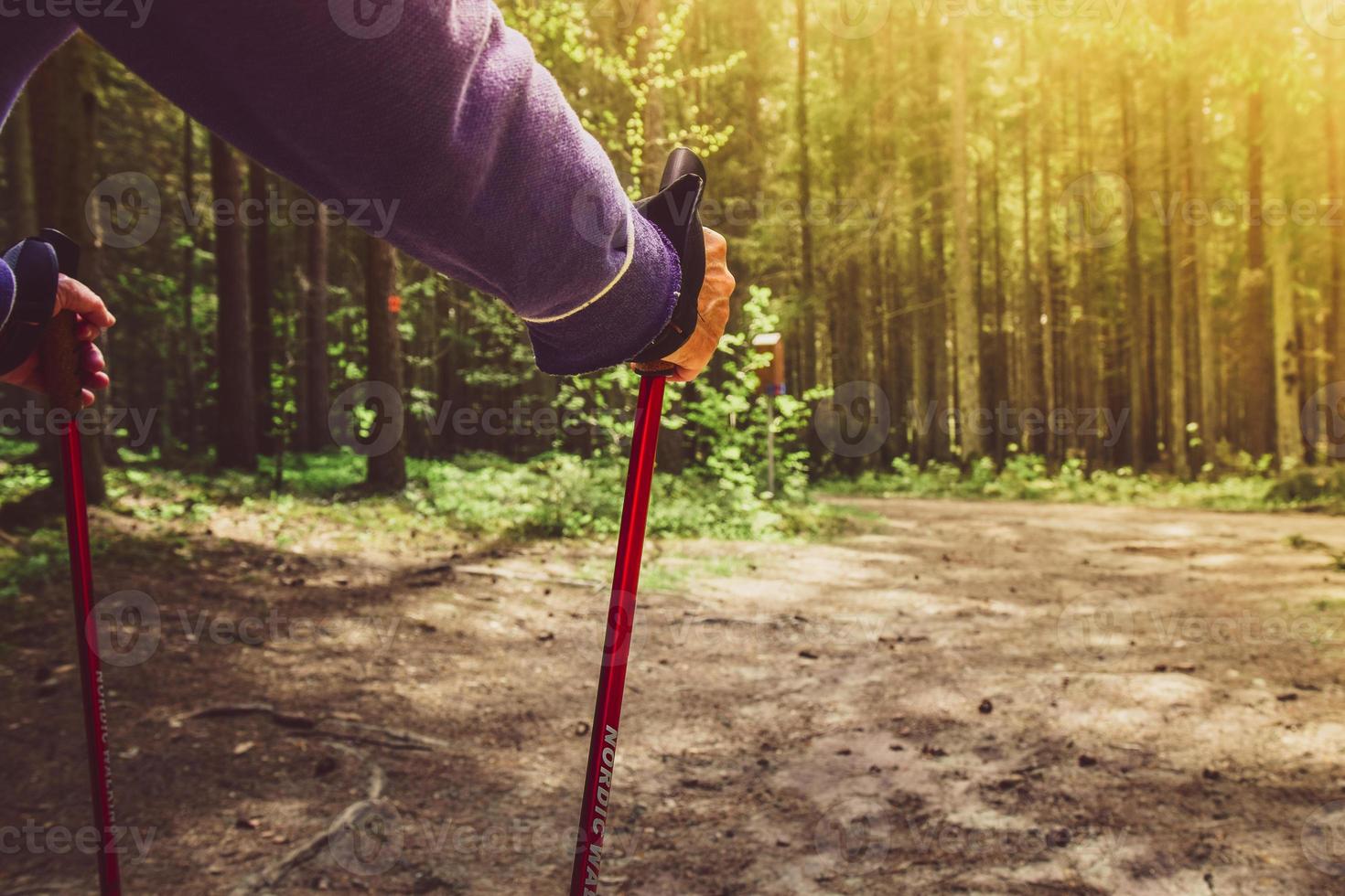 Back view of woman with backpack and trekking sticks. Nordic walking. and hiking. Autumn nature around and path forward. Travel concept. photo