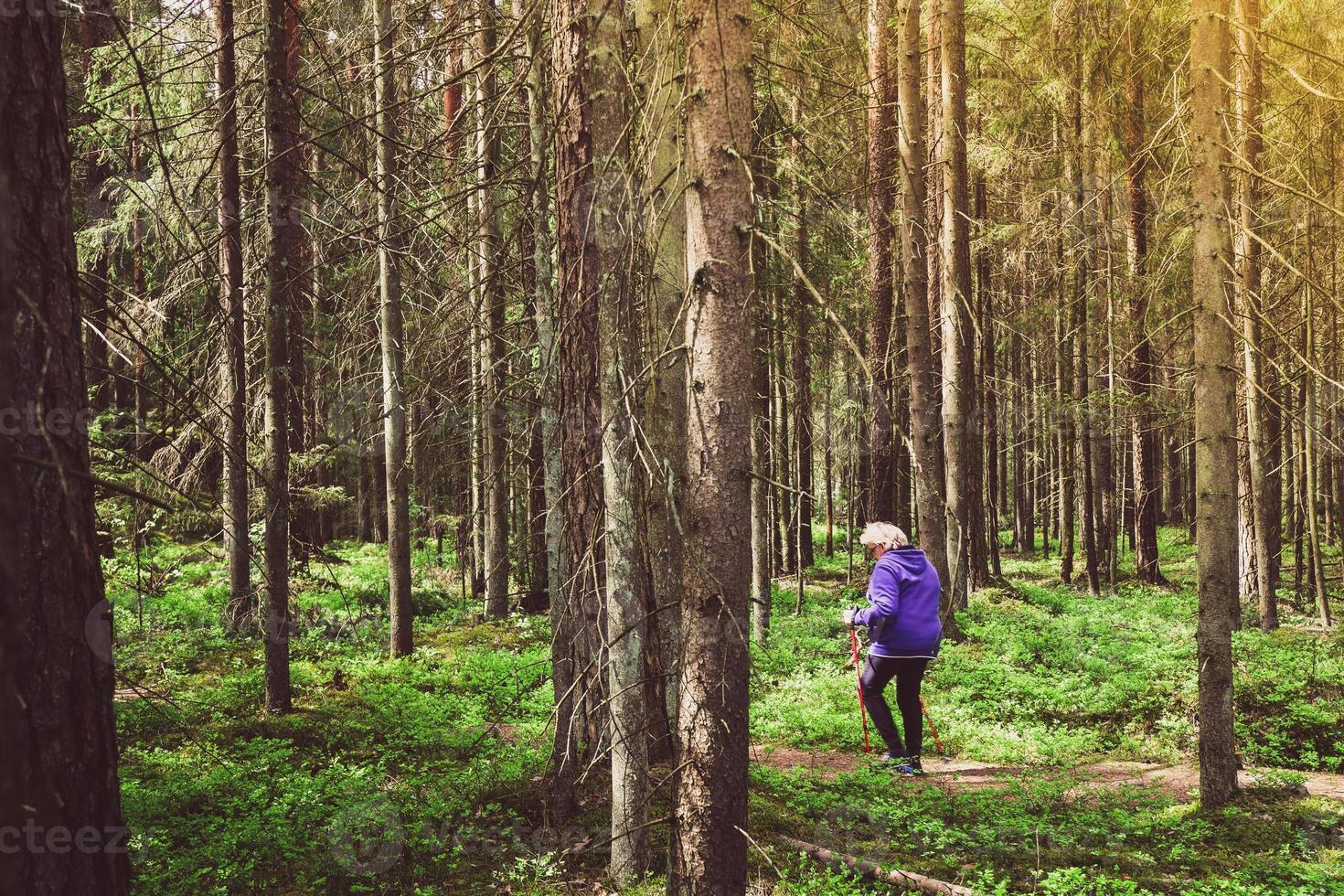 Side view woman on road walk with nordic sticks in forest surrounded with trees. Texture and nature well-being concept background photo