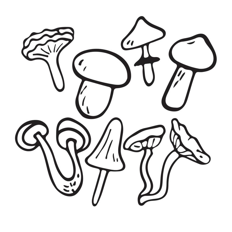 Vector flat illustration set of mushrooms icons. Doodle objects are cut out.