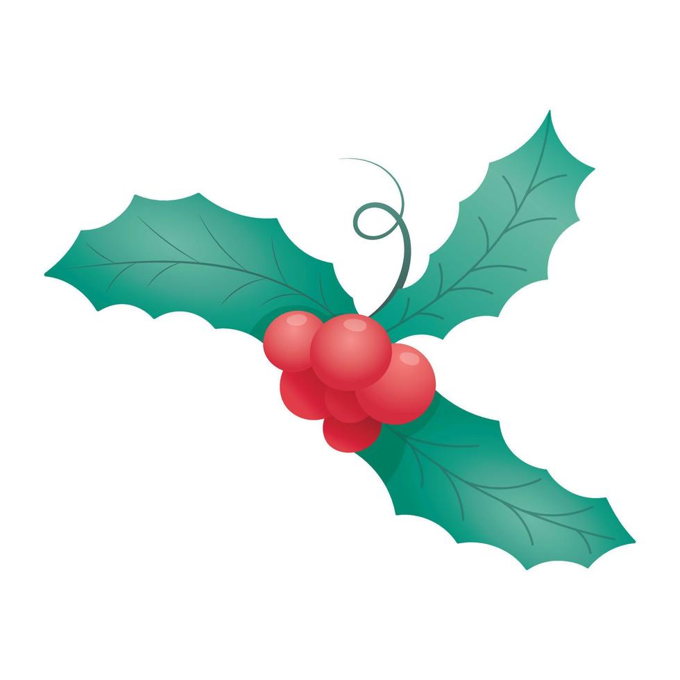 Vector isolated cartoon illustration of traditional Christmas holly branch with leaves and red berries.