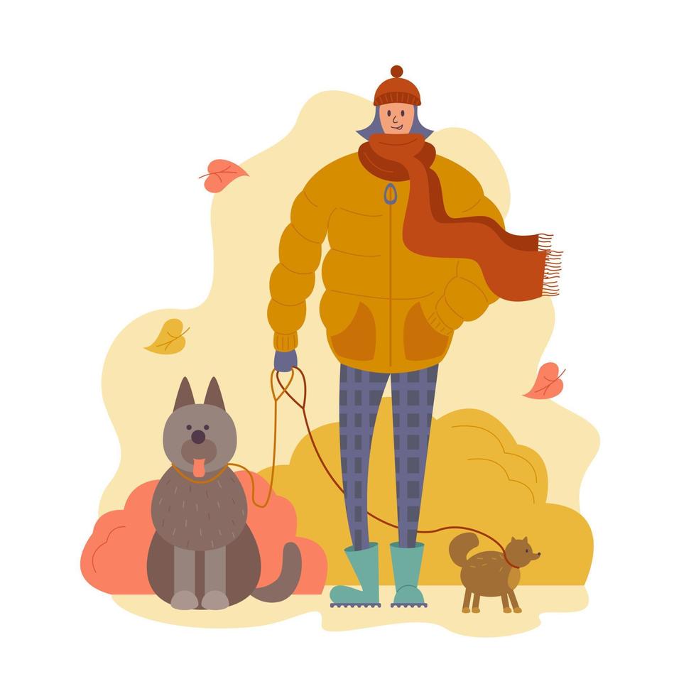 personaje de paseador de perros en clima otoñal. ilustración de stock vectorial en estilo plano. vector