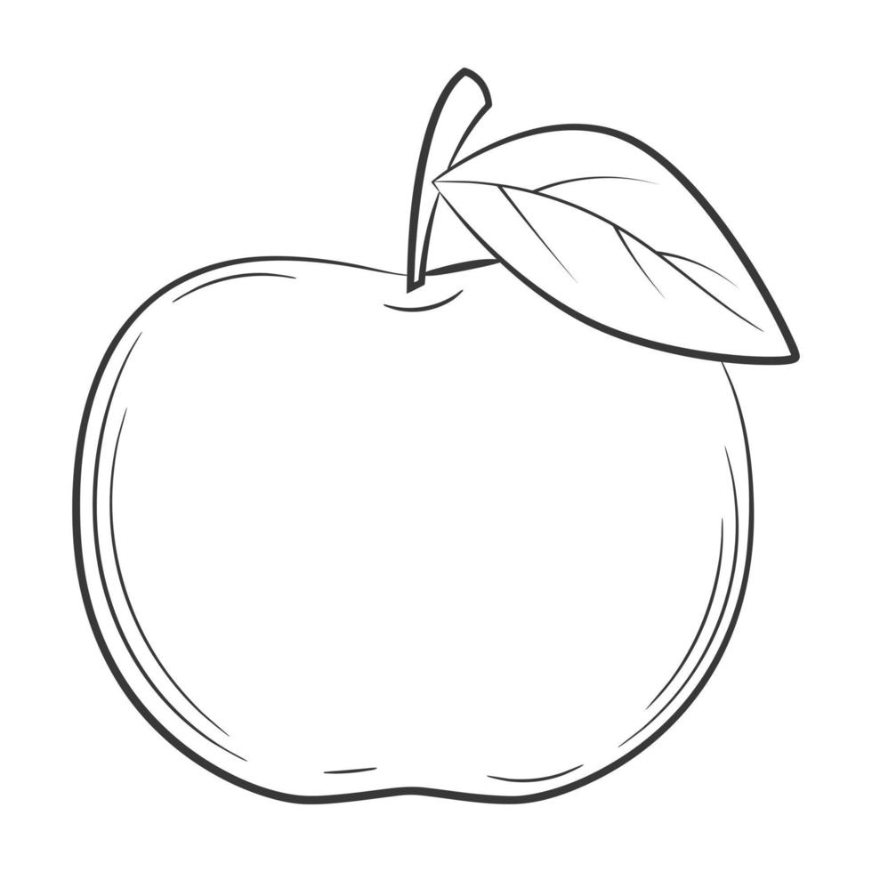 Apple,fruit in a linear style. Black and white vector decorative element, drawn by hand.Isolated on white background.