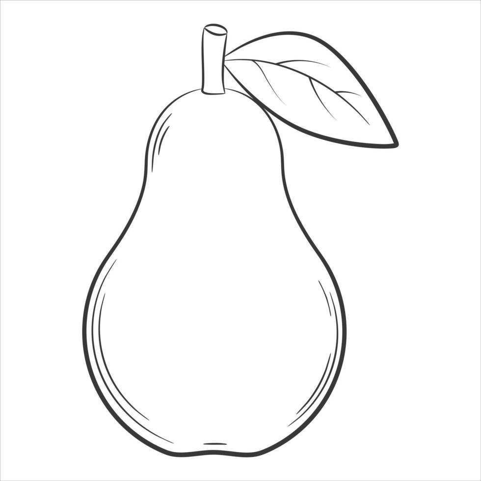 pear fruit in a linear style. Black and white vector decorative element, drawn by hand.Isolated on white background.