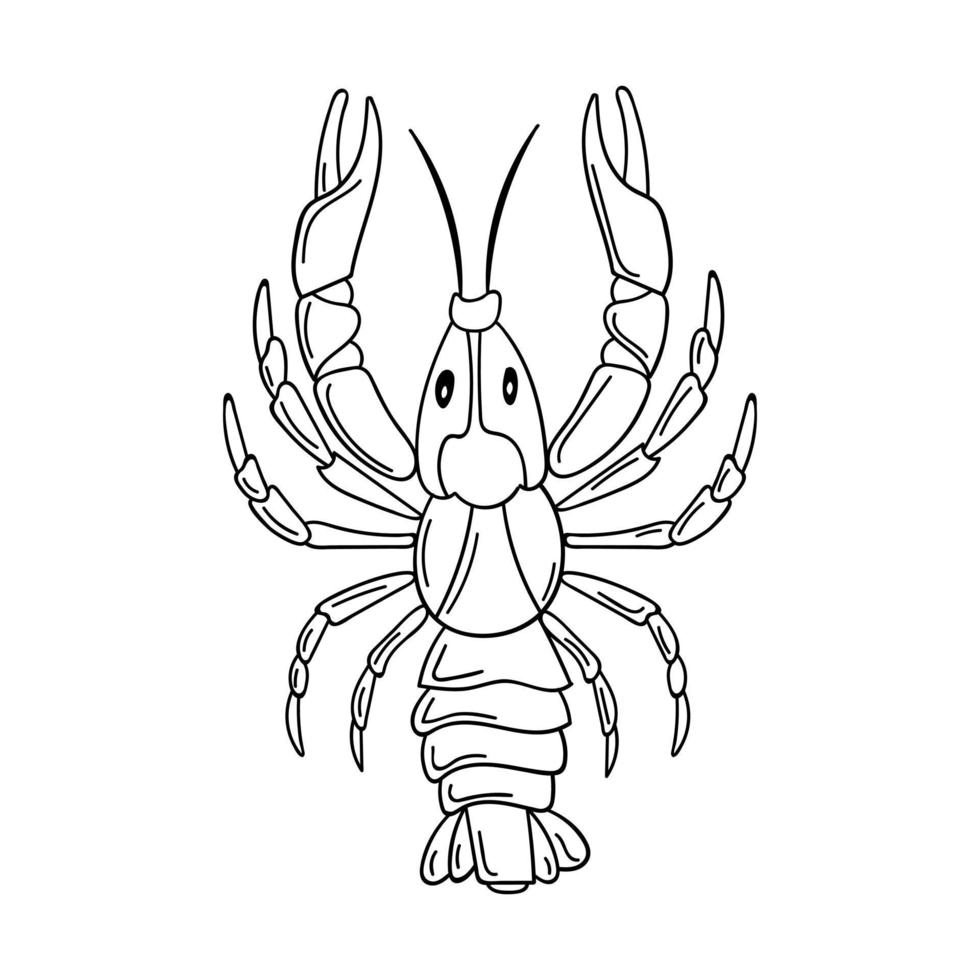 A whole raw live crayfish with pincers. Seafood, a freshwater arthropod. Contour sketch food illustration in doodle style, hand drawn, isolated on a white background. Black white vector. vector