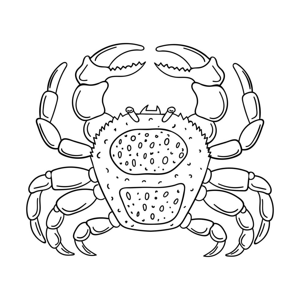 Sketch of a Crab. Marine arthropod animal, hand-drawn doodle design element. Simple contour black and white vector illustration. Isolated on a white background. Doodle style