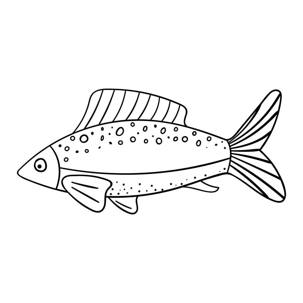 A whole raw fish with fins and tail. Seafood, Sea food. Contour sketch food illustration in doodle style, hand drawn, isolated on a white background. Black white vector. vector