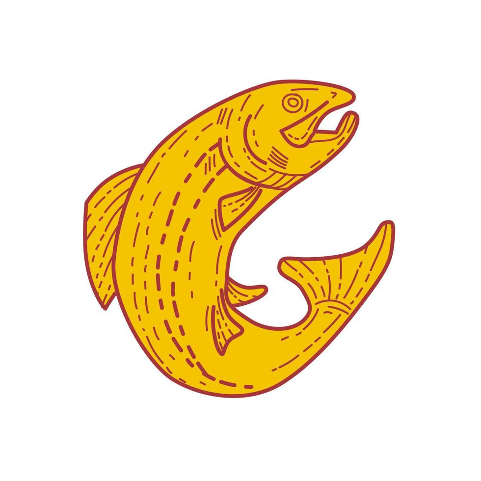 Rainbow Trout Jumping Mono Line vector
