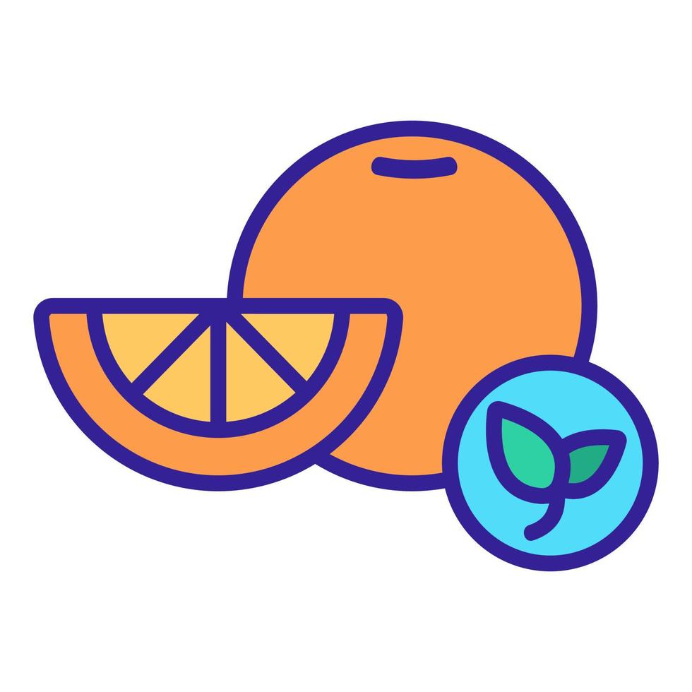 Natural orange vector icon. Isolated contour symbol illustration