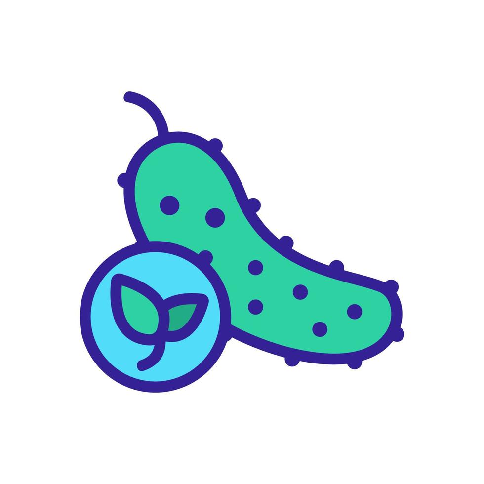 Natural cucumber icon vector. Isolated contour symbol illustration vector