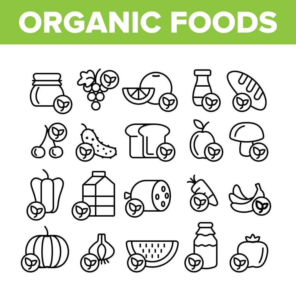 Organic Foods Vector Thin Line Icons Set