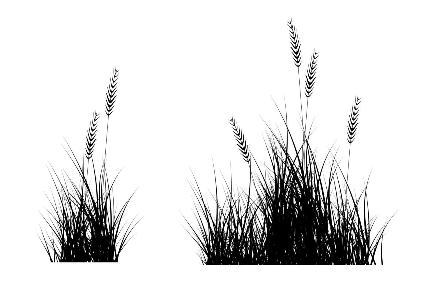 silueta de hierba de cañas. pasto tropical vector