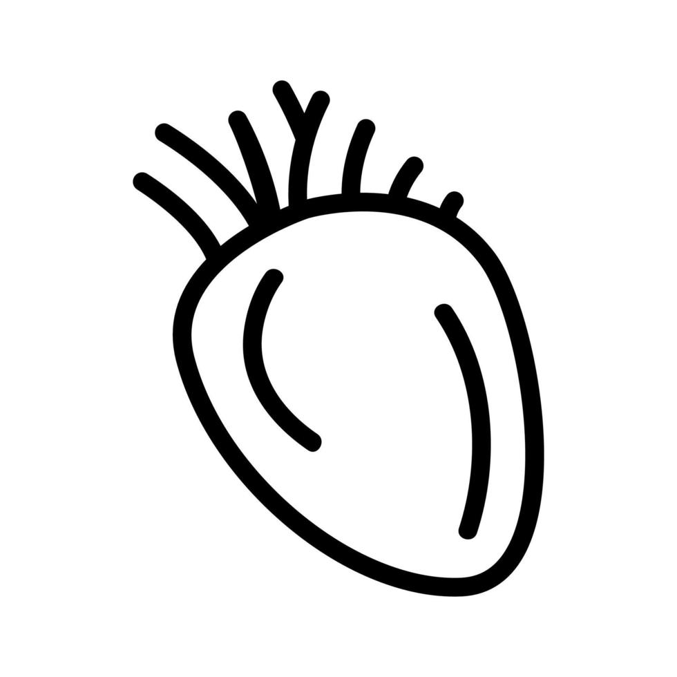 Heart organ icon vector. Isolated contour symbol illustration vector