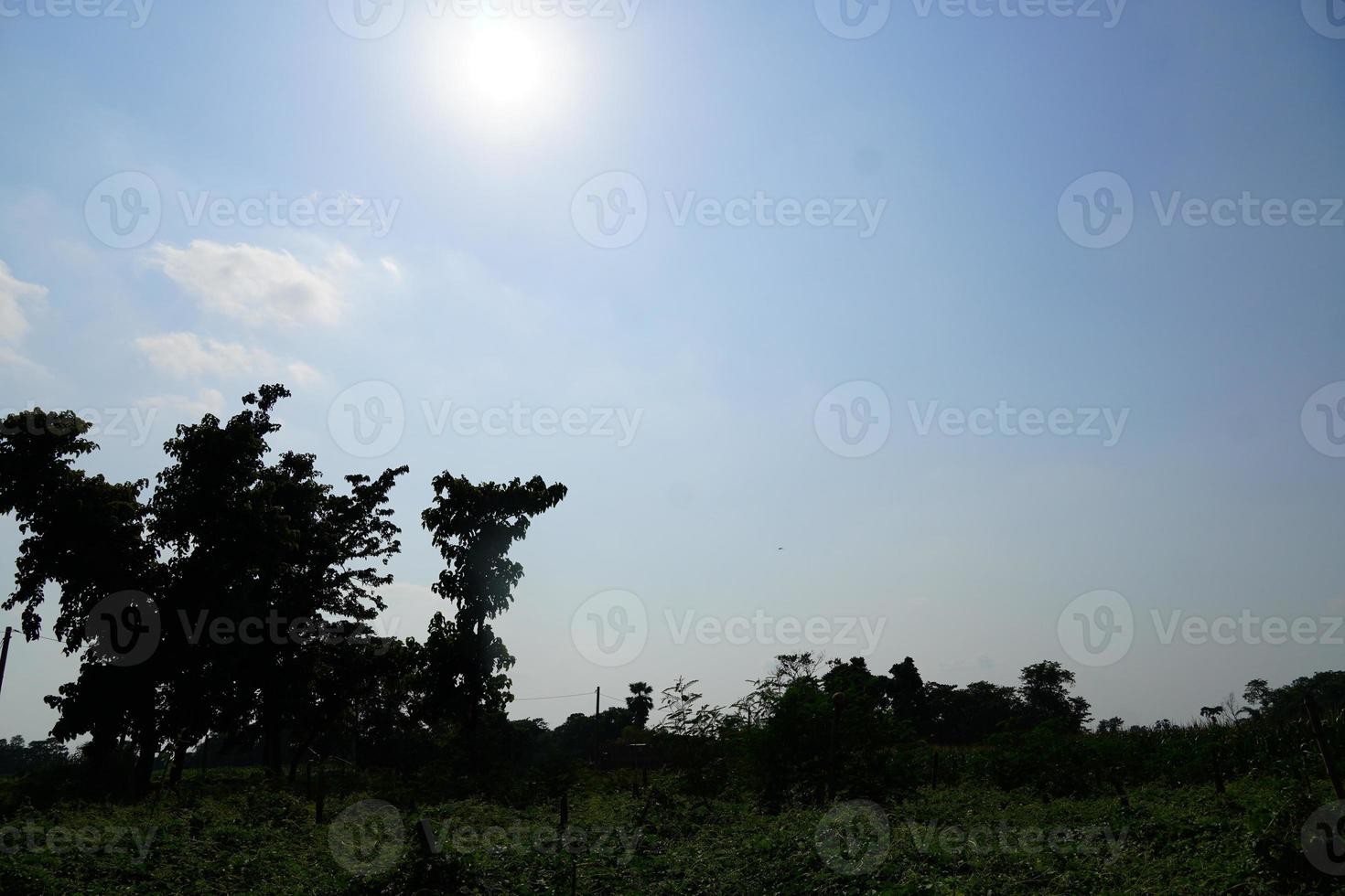 view of bihar image hd. photo