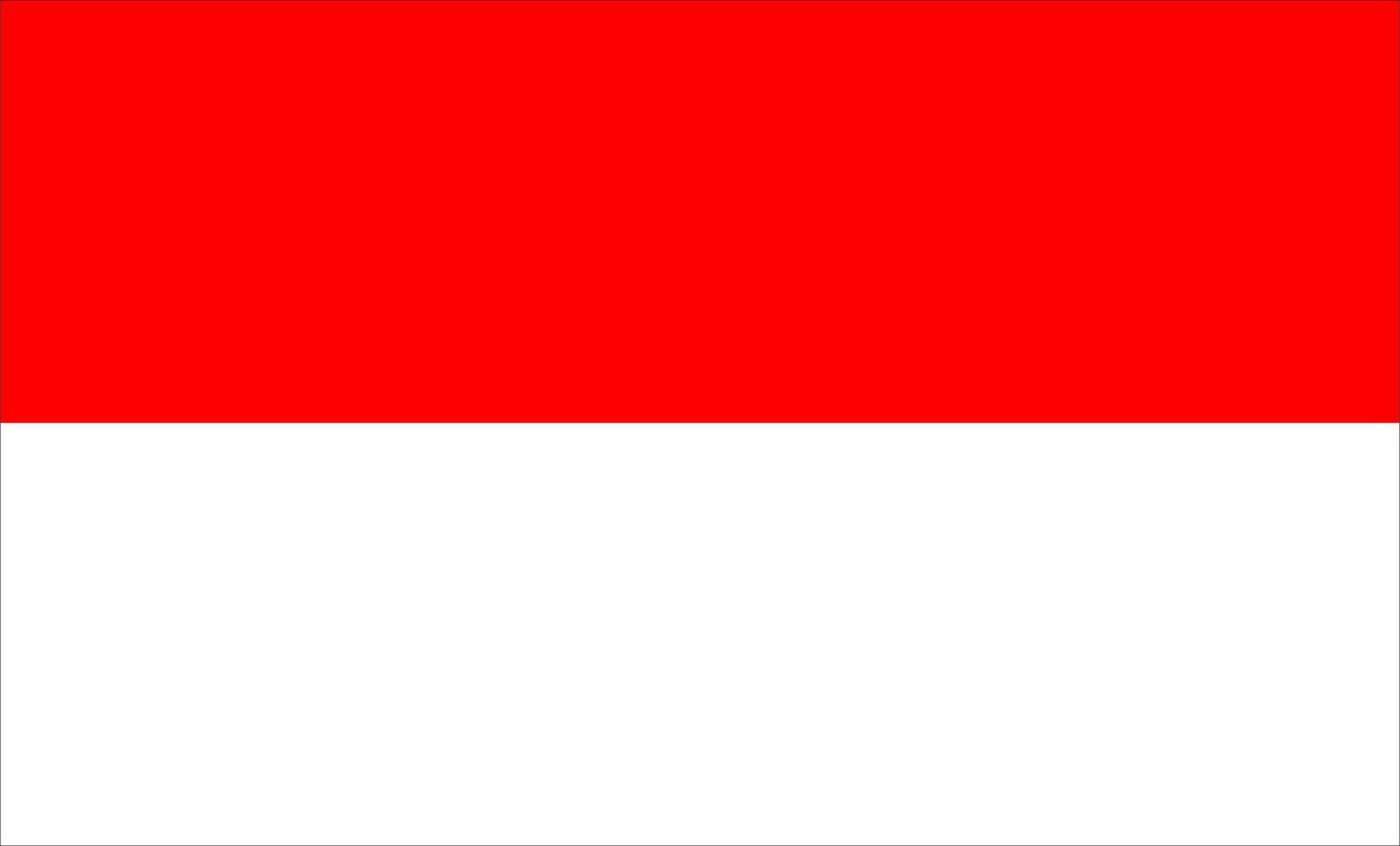 Indonesia flag, national flag of Indonesia high quality vector