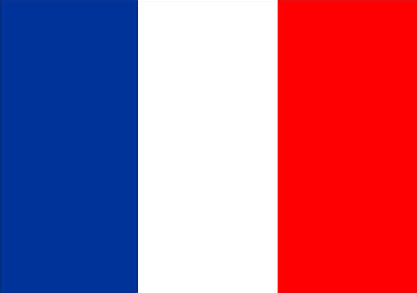 bandera de francia, vector de alta calidad de la bandera nacional de francia