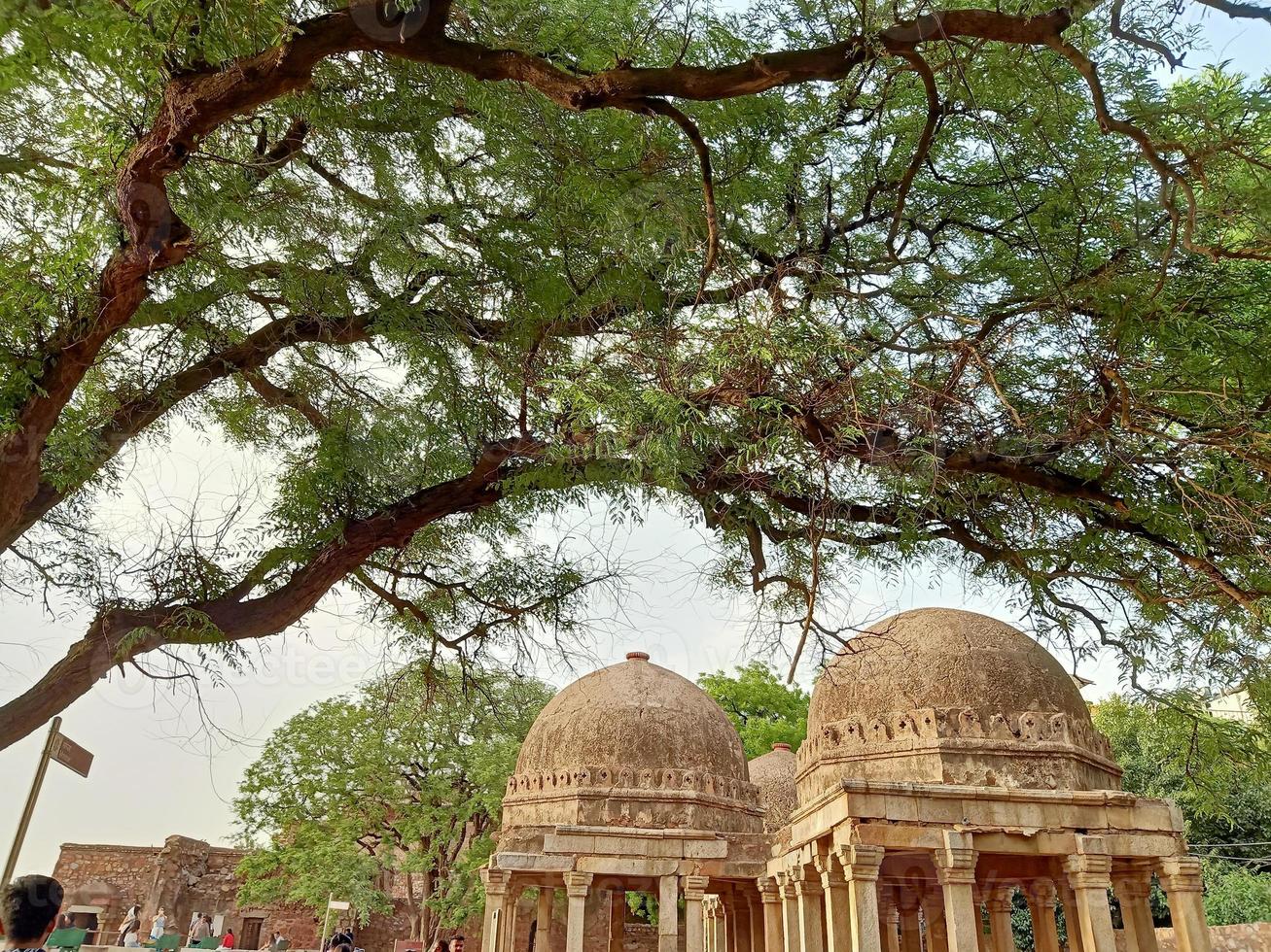 firoz shah tughlaq tomb history photo