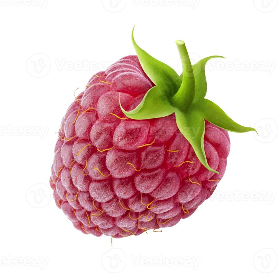 Raspberry isolated on white background photo
