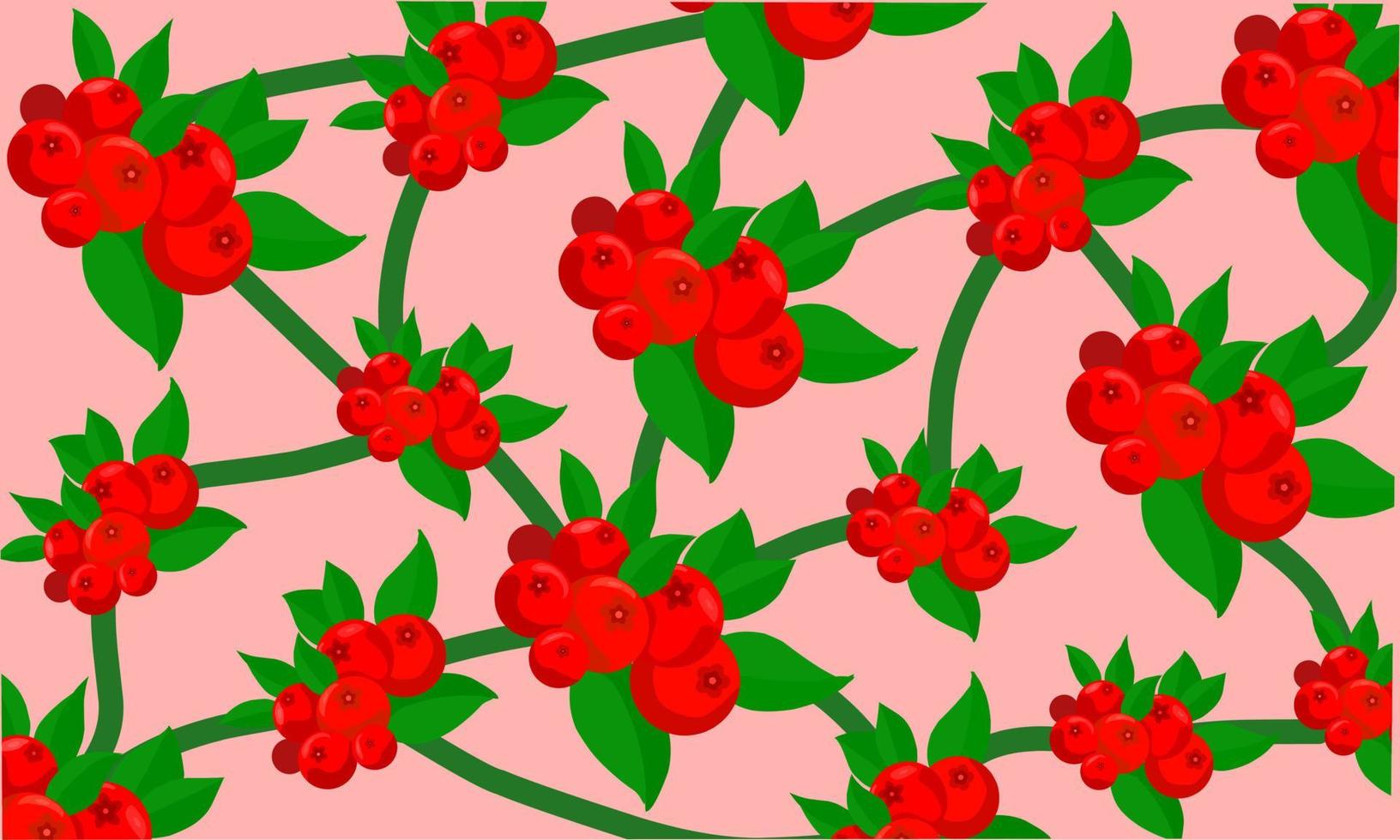 modern design redberry fruit pattern vector