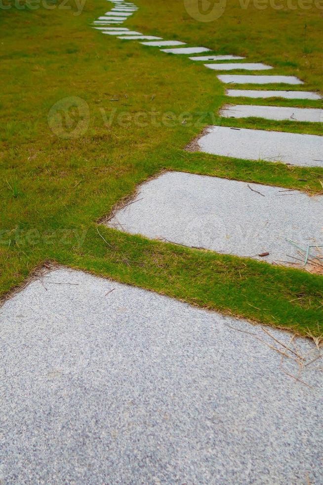 diseño de exteriores. hierba con camino de piedra. paisaje de pasarela con camino de piedra, losa de pavimentación. vista desde arriba. foto