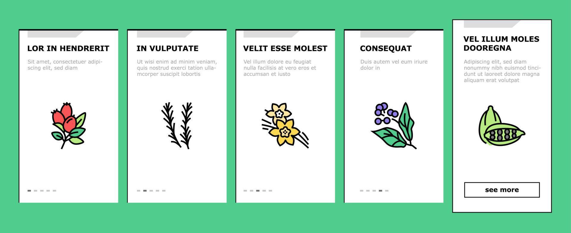 Aromatherapy Herbs Onboarding Icons Set Vector