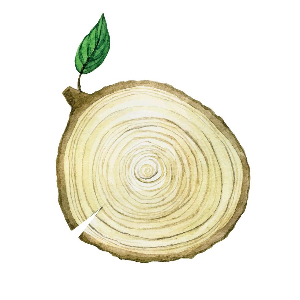 dibujo de acuarela, clip-art corte de sierra de un árbol. lindo dibujo al estilo escandinavo corte de sierra de una rama de árbol con una hoja verde. símbolo ecológico, hecho de madera, material natural vector