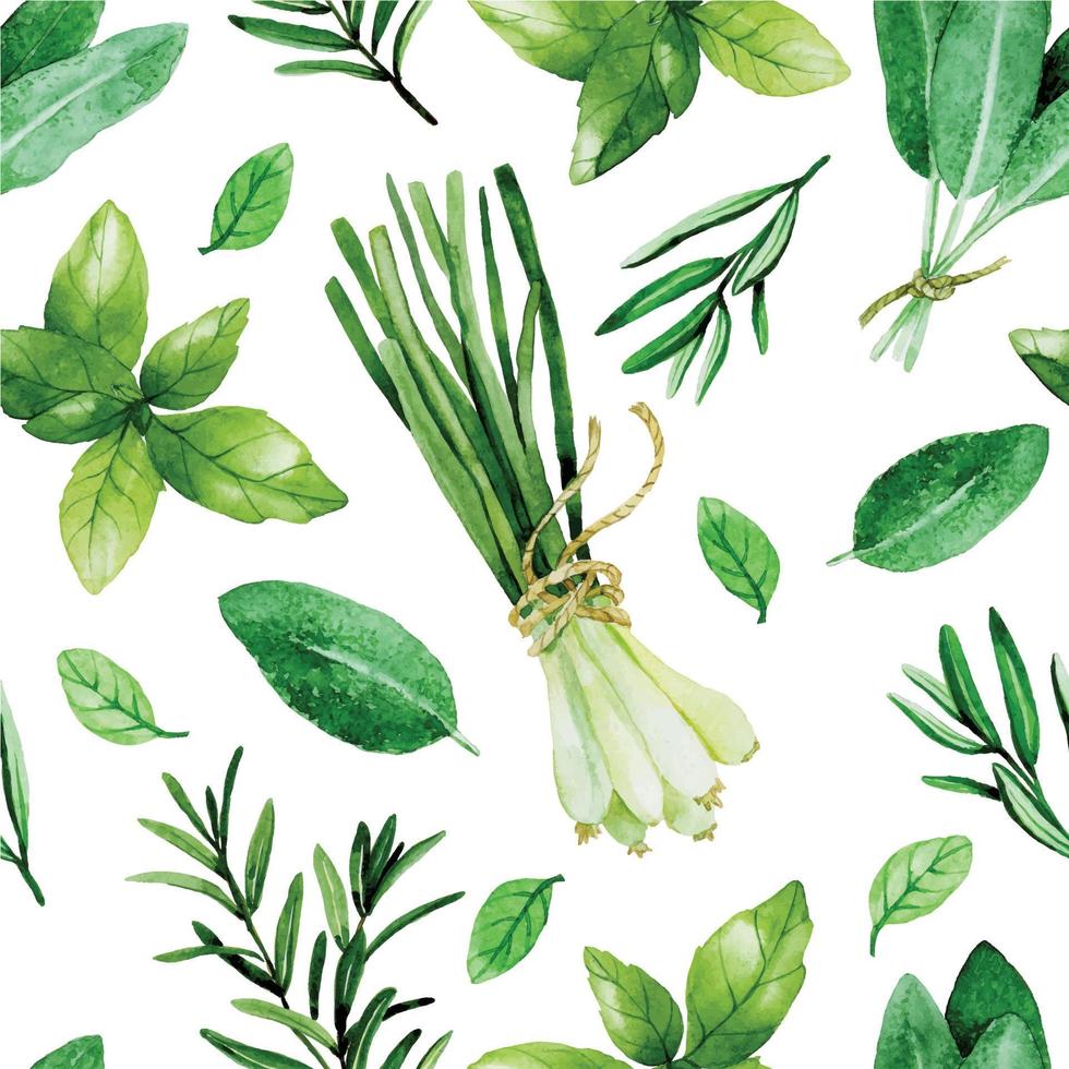 watercolor seamless pattern in vintage style. culinary herbs and spices on a white background. onion, basil, sage, rosemary mint vector