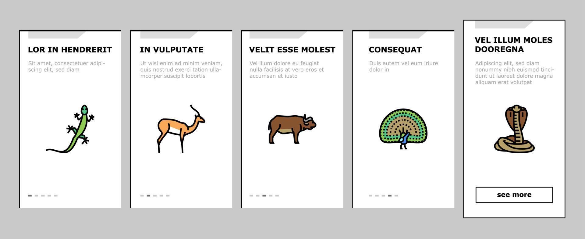 Wild Animals, Bugs And Birds Onboarding Icons Set Vector