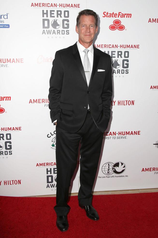 LOS ANGELES, SEP 10 - James Denton at the 2016 American Humane Hero Dog Awards at the Beverly Hilton Hotel on September 10, 2016 in Beverly Hills, CA photo