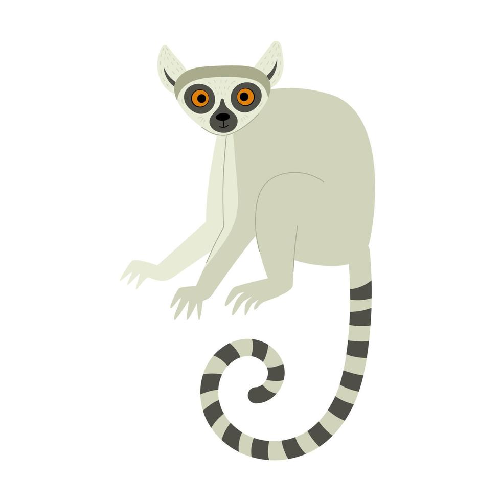 lindo lémur exótico. animales de madagascar y africa. ilustración infantil vectorial en estilo plano vector